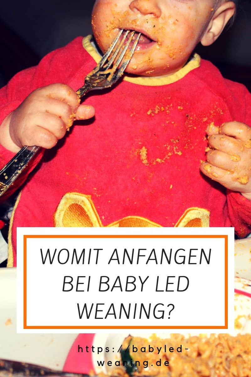 Womit Kann Man Enten Füttern