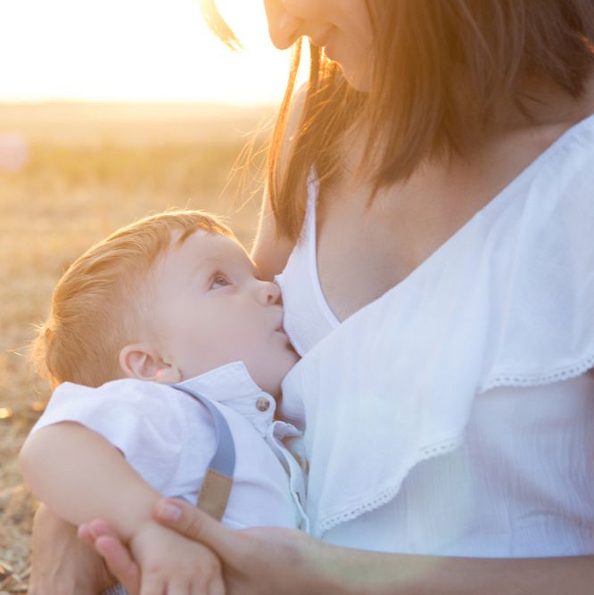 Stillen und Baby Led Weaning