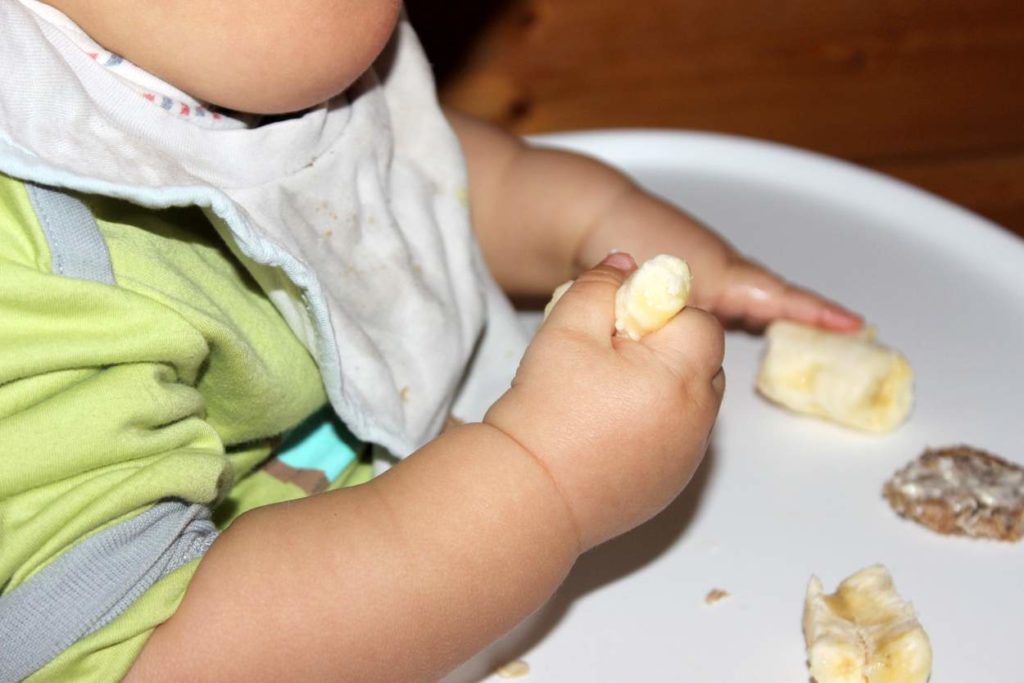 Frühstück Baby Led Weaning