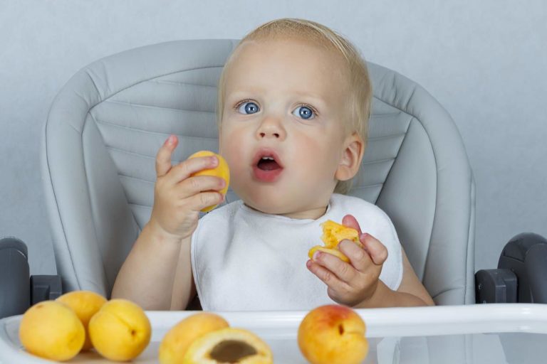 Ab wann dürfen Babys Aprikosen essen? Babyled Weaning