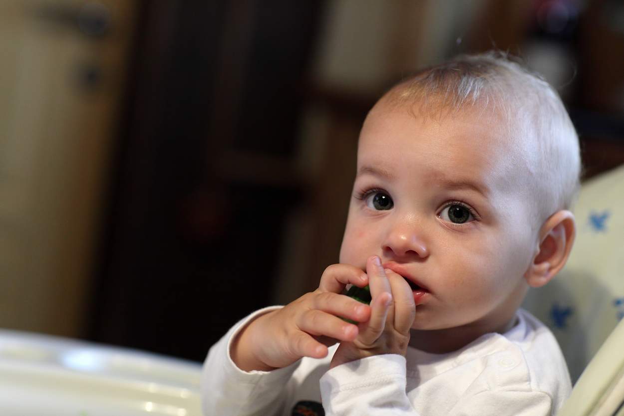 Ab wann dürfen Babys Pflaumen essen? | Babyled Weaning