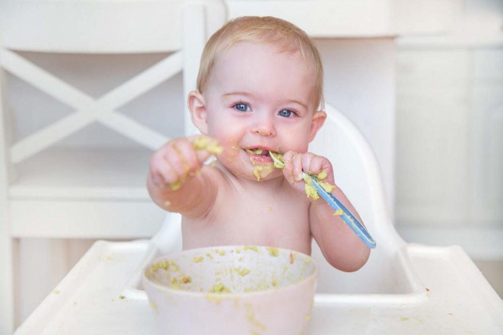Ab wann dürfen Babys Fenchel essen? | Babyled Weaning