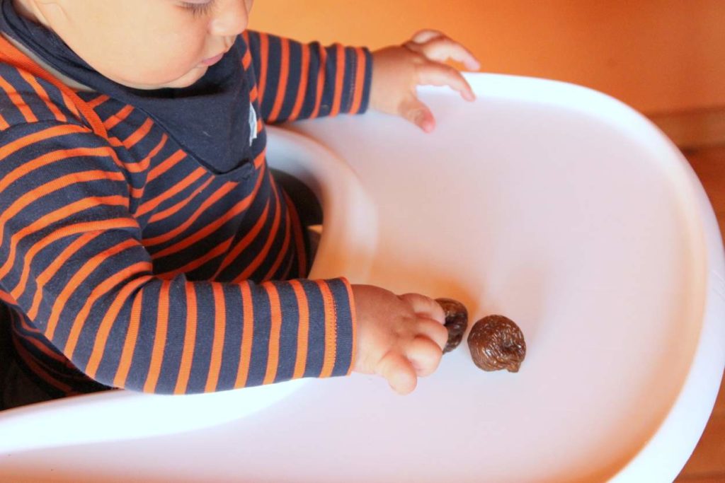 Ab wann dürfen Babys Feigen essen? | Babyled Weaning