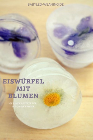 eiswuerfel mit blumen 1