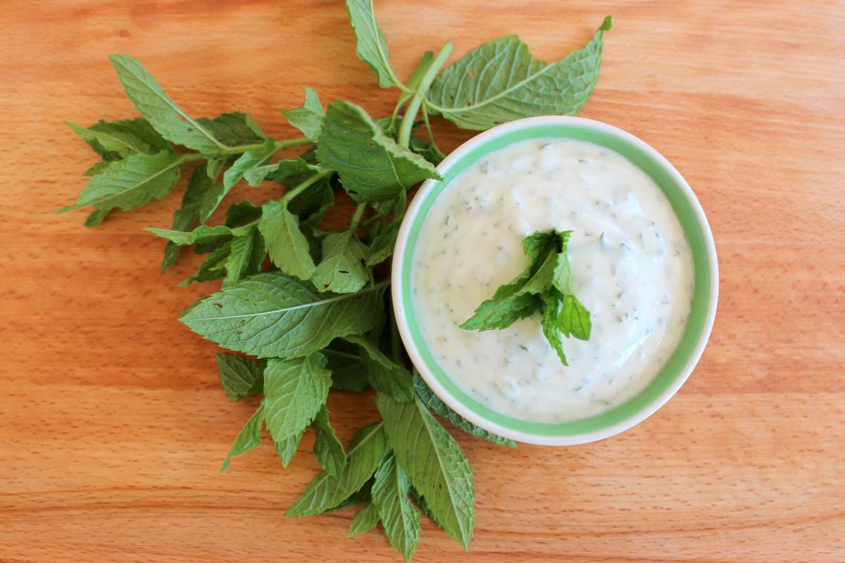 Joghurt-Minz Dip | Babyled Weaning Rezepte für die ganze Familie