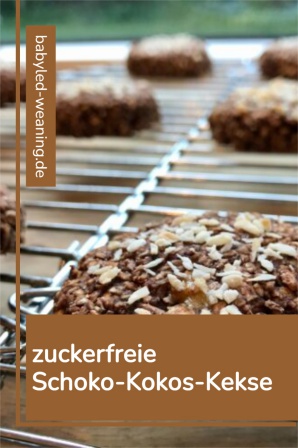 zuckerfreie Schoko Kokos Kekse