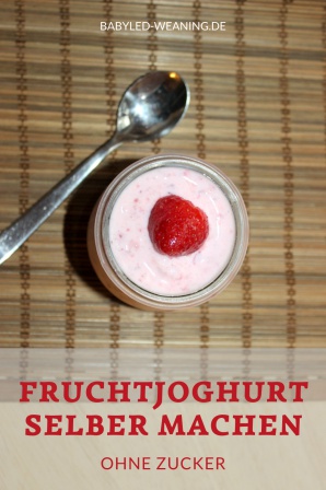 frucht joghurt selber machen