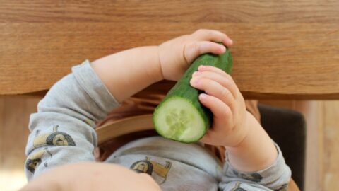ab wann dürfen babys gurke essen