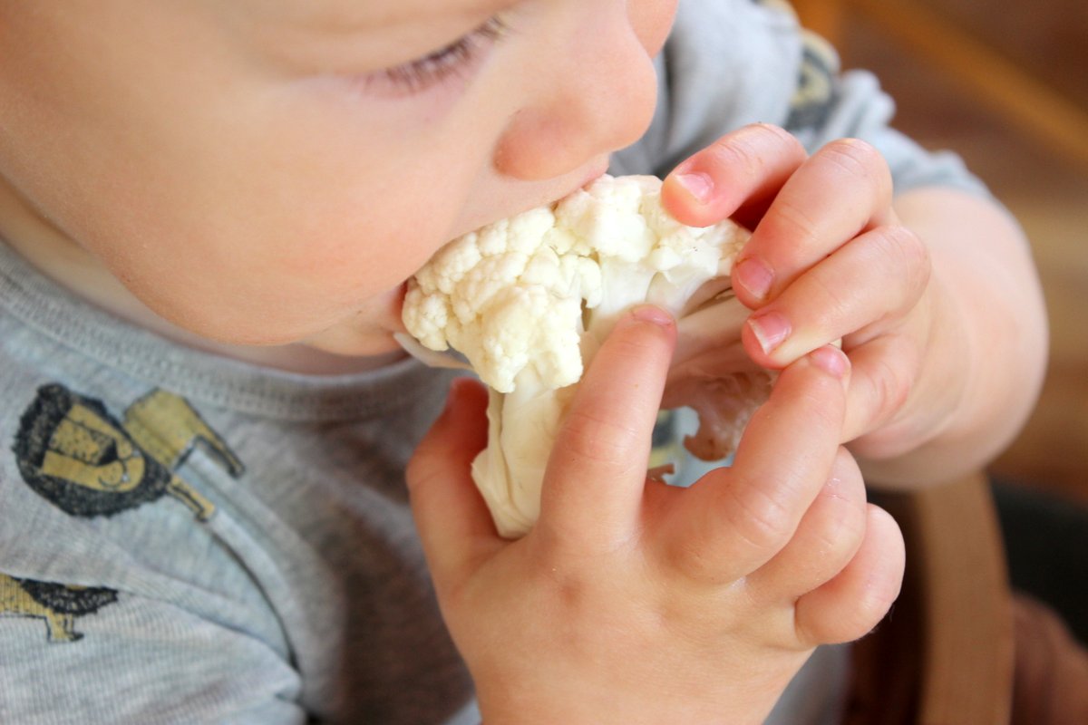 Blumenkohl | Babyled Weaning