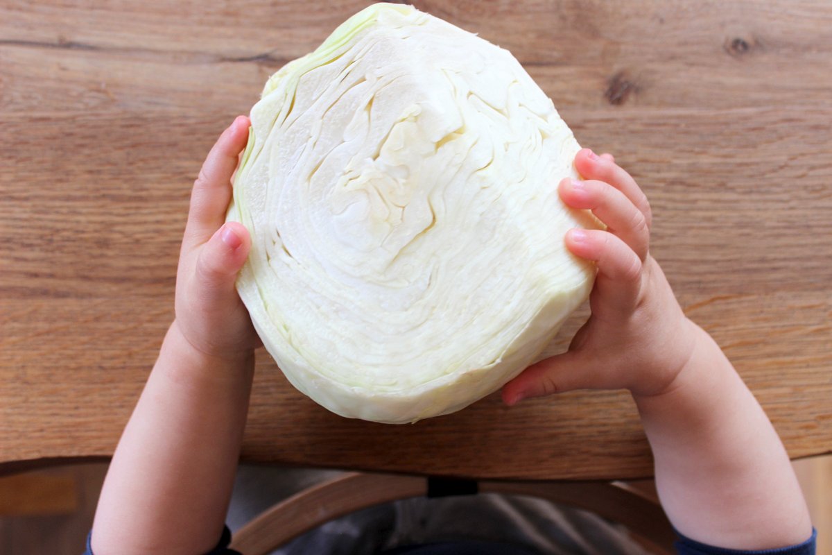 ab wann dürfen babys kohl essen