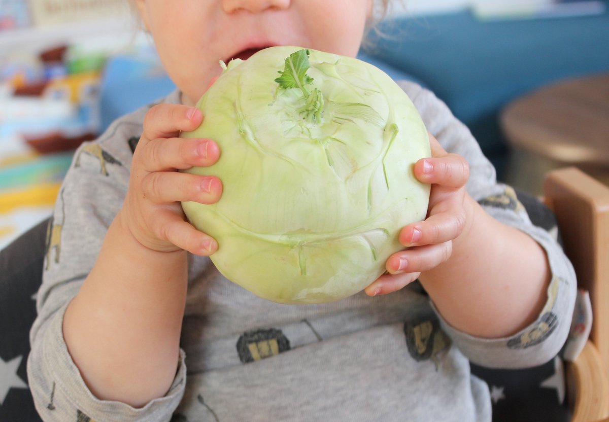 ab wann dürfen babys kohlrabi essen