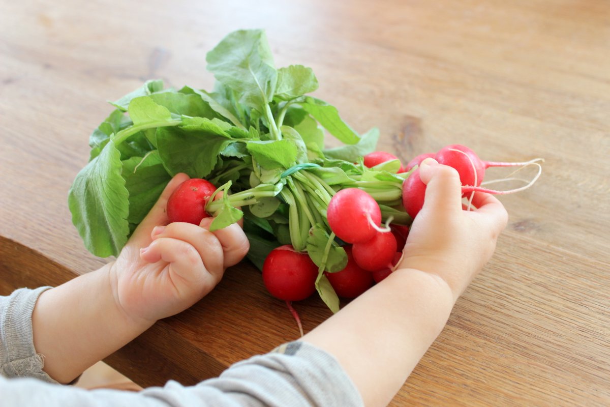 ab wann dürfen babys radieschen essen