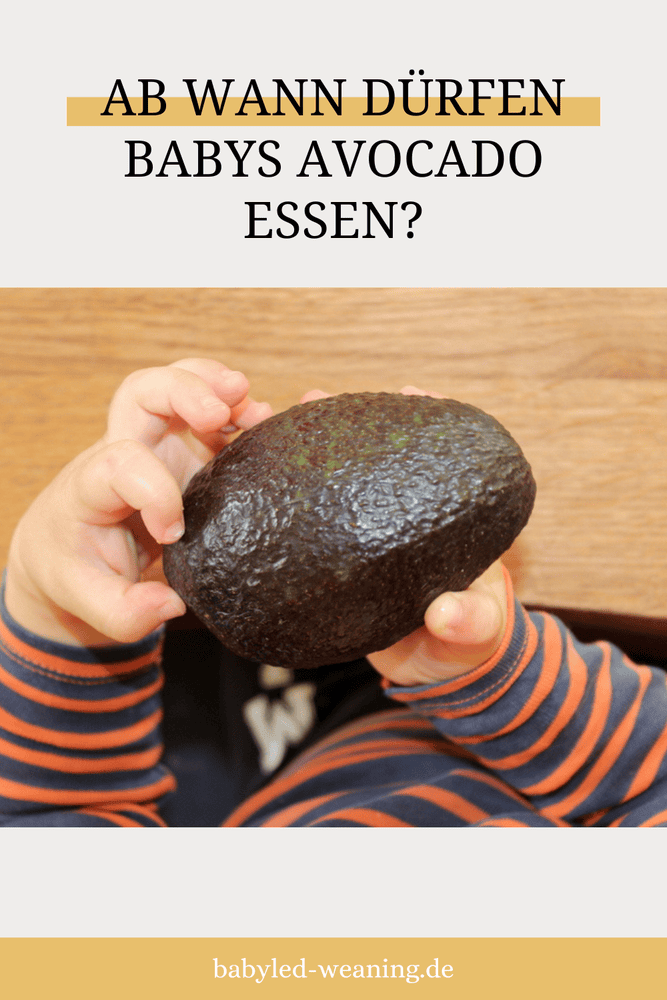 Ab Wann Dürfen Babys Avocado Essen