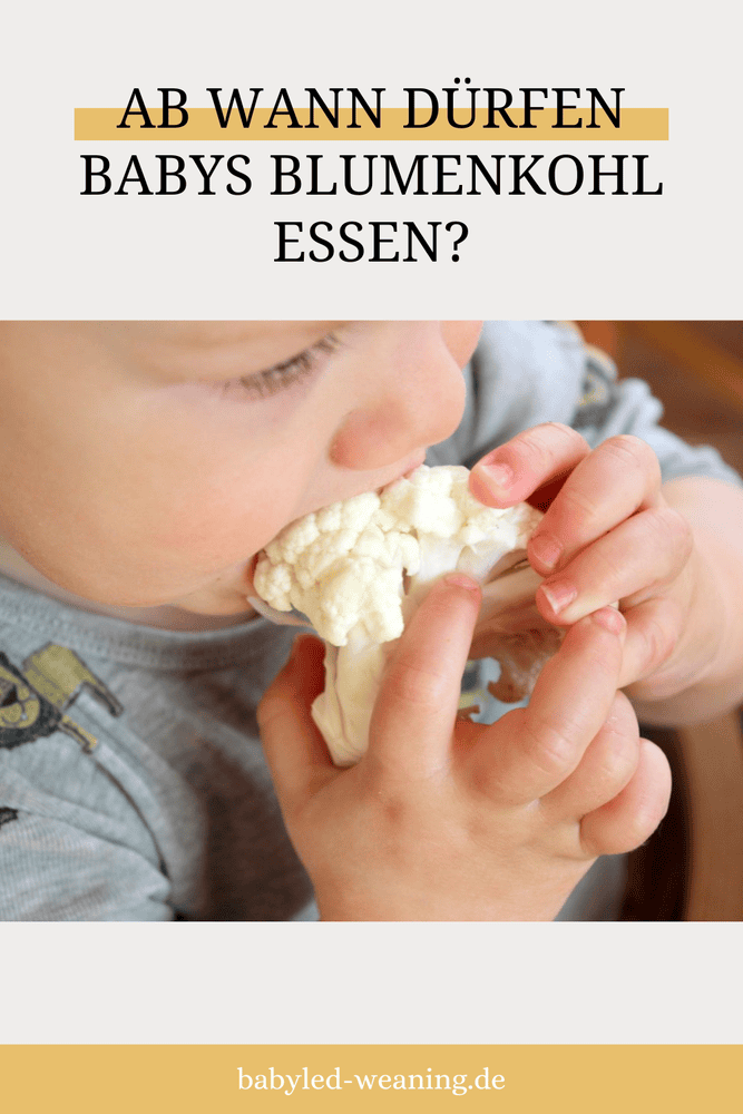 Ab Wann Dürfen Babys Blumenkohl Essen Ab wann dürfen Babys Blumenkohl essen?| Babyled Weaning