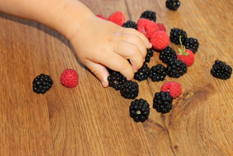 baby isst beeren himbeeren brombeeren mit der hand