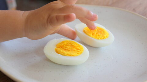 ab wann dürfen babys eier essen