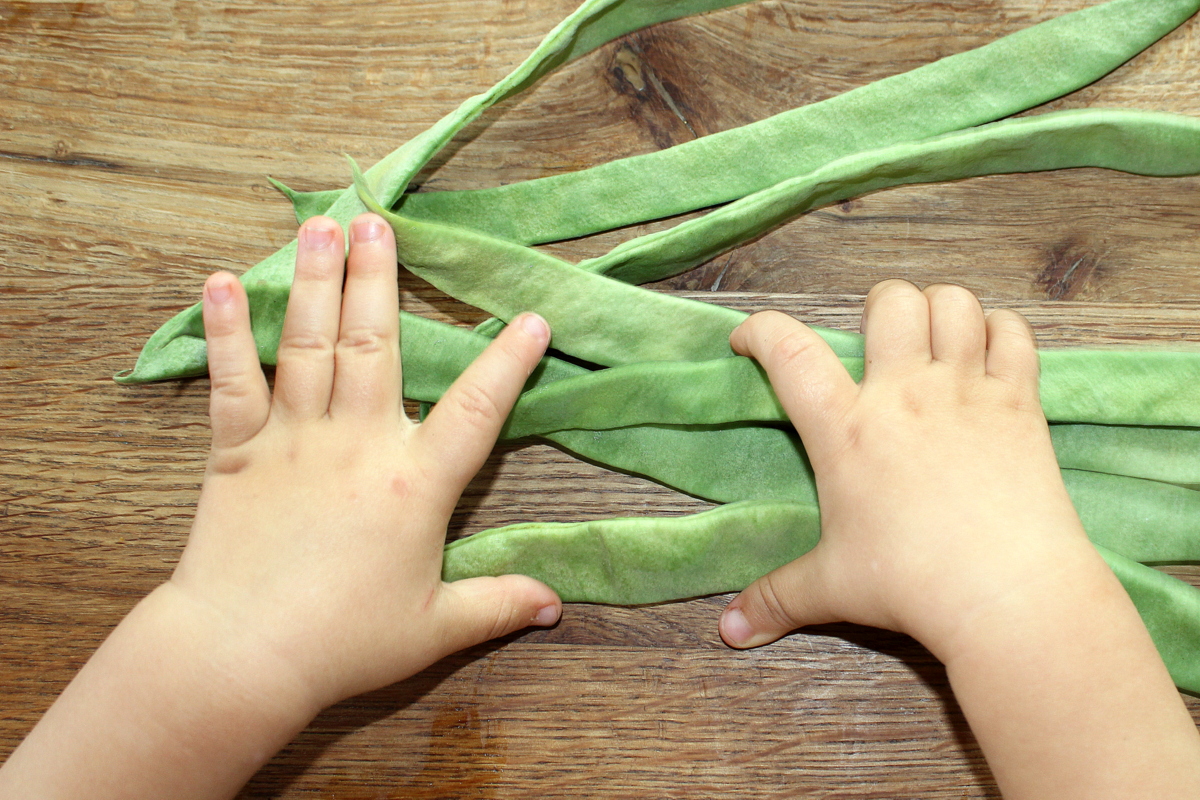 ab wann dürfen babys bohnen essen