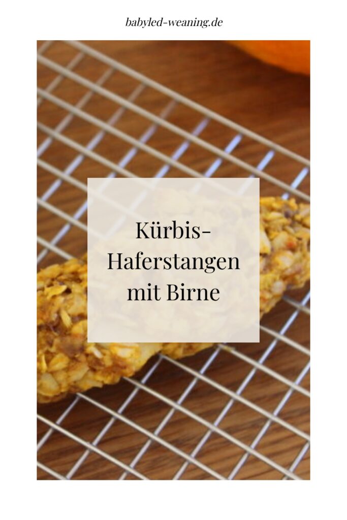 kuerbis haferstangen mit birne pin