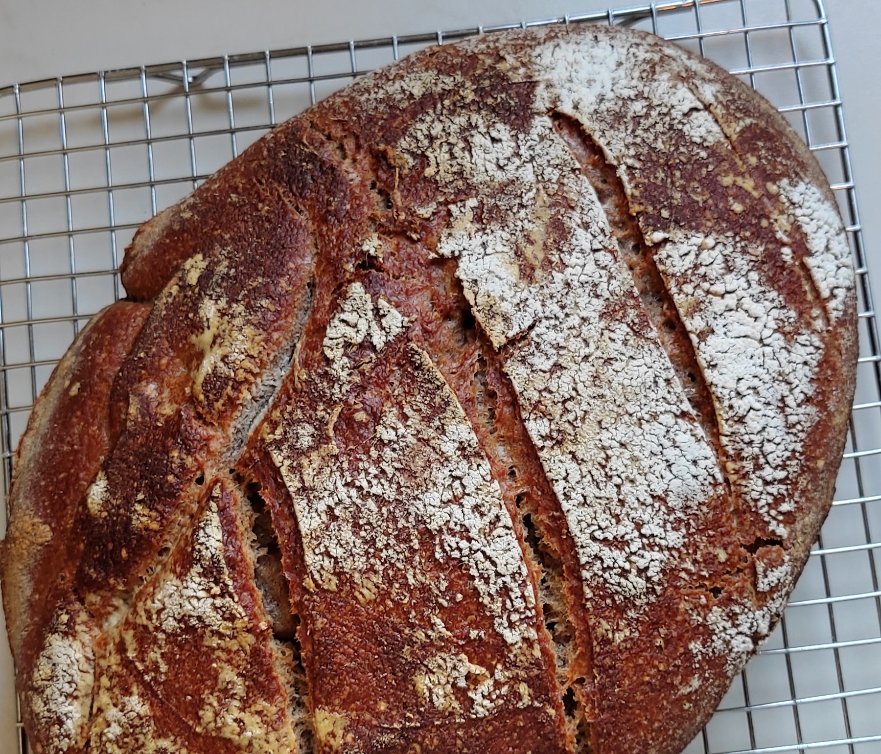 einfaches dinkel sauerteigbrot auf einem Rost, kross und braun gebacken mit längsschnitten