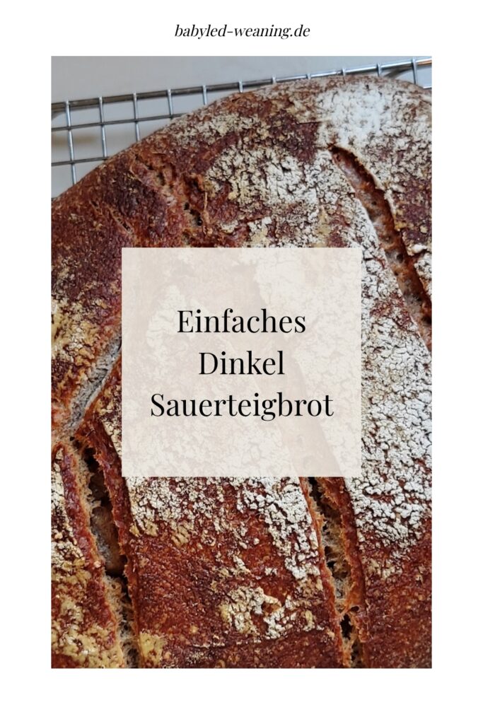 Einfaches Dinkel Sauerteigbrot Babyled Weaning Rezepte 8577659