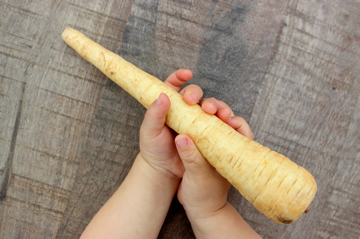 baby-mit pastinake-in-den-händen