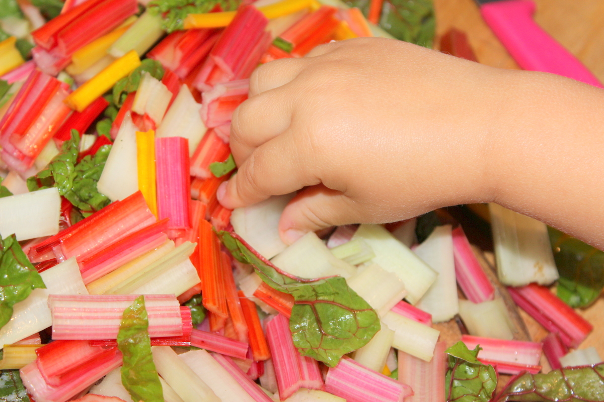 baby will geschnittenen mangold roh mit der hand essen