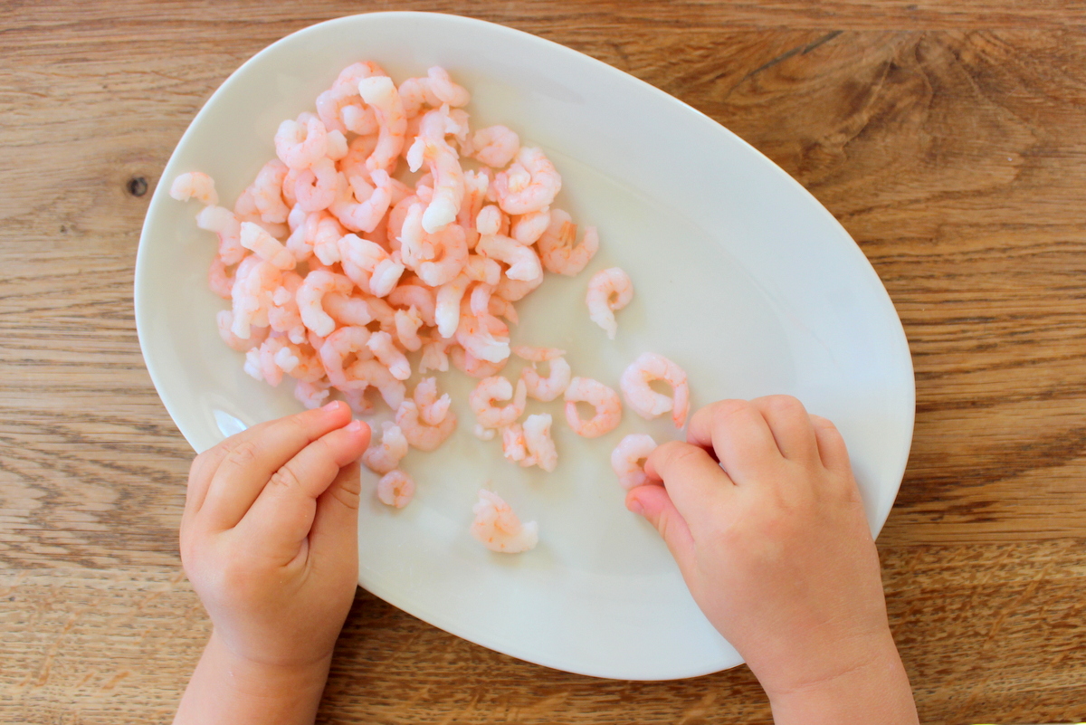 garnelen baby ab wann